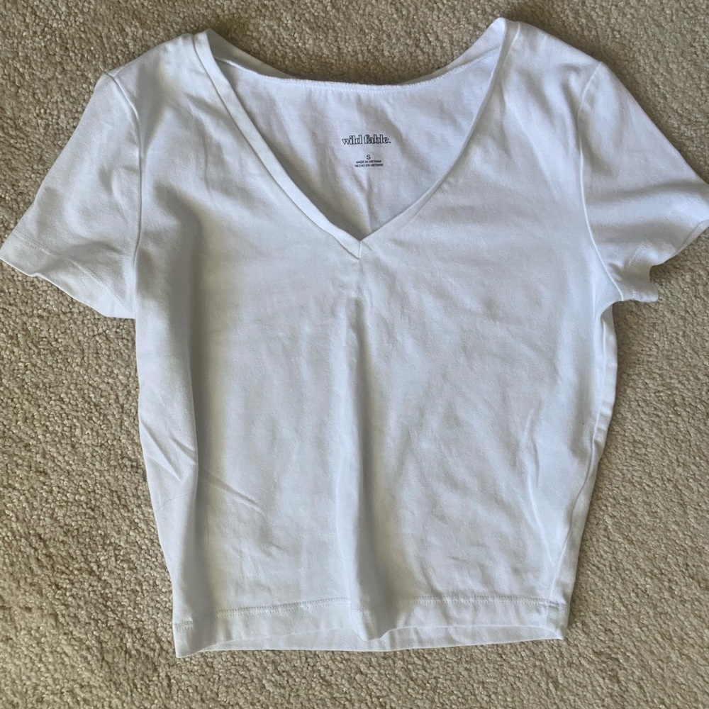 NWOT Wild Fable v neck crop tee